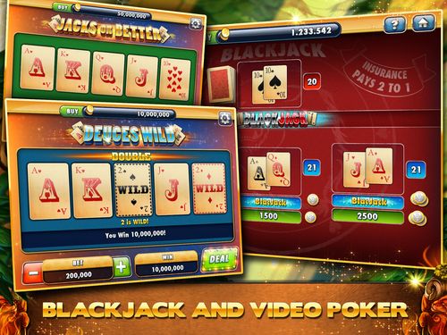 taya 365 online casino