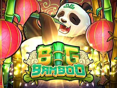 ph 365 casino login download