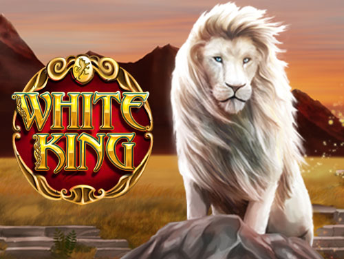 nine99 casino login register